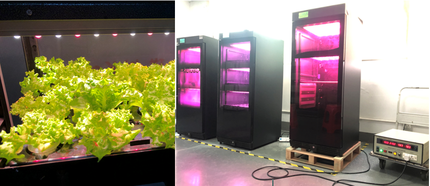 家庭种植机60Hz .png 家庭种植机60Hz .png